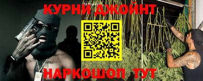 apvp Нальчик